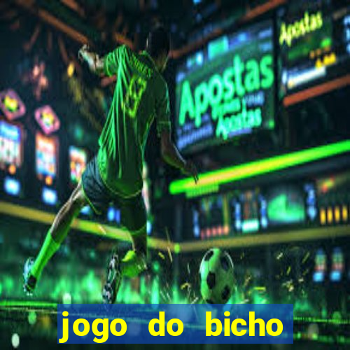 jogo do bicho feira de santana